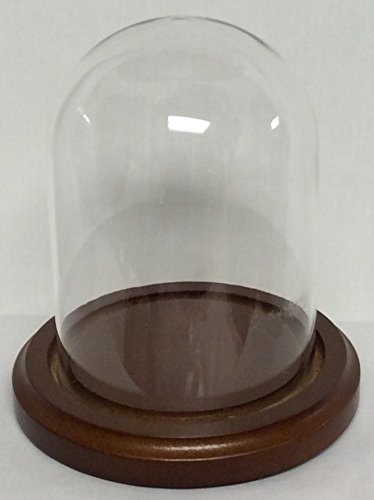 Glass Doll/Clock Dome with Walnut Base - 3
