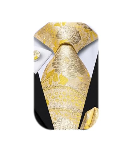 Dubulle Mens Paisely Silk Tie for Men Necktie and Pocket Square Set