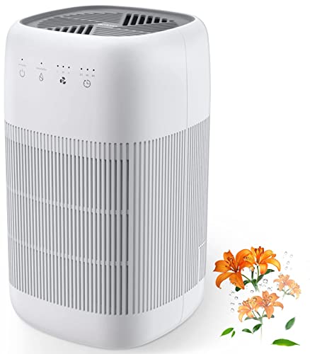 Luftentfeuchter mit HEPA Filter Test & Vergleich Top im August 2023