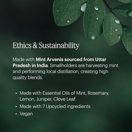 Aera Spa La La Home Fragrance Scent Refill - Notes of Peppermint and Rosemary - Works with The Aera Diffuser - Image 4