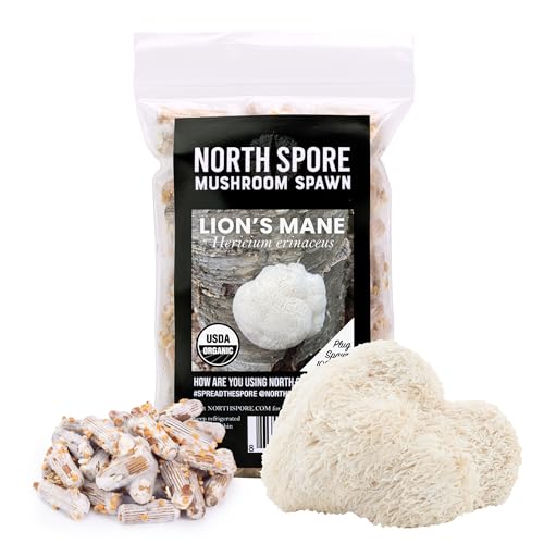 North Spore Organic Lion's Mane (100 ct) Mushroom Plugs for Logs | Premium Quality Mushroom Plug Spawn | Handmade in Maine, USA | Grow Gourmet Mushrooms Outdoors on Logs
