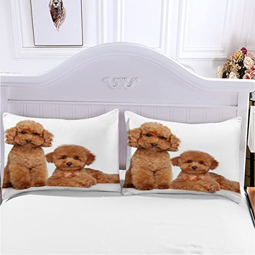 Parure de lit 155 x 220 cm impression 3D caniche, housse de couette microfibre - 6