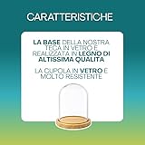 PALUPLUS B0DJGN549Z lato 3