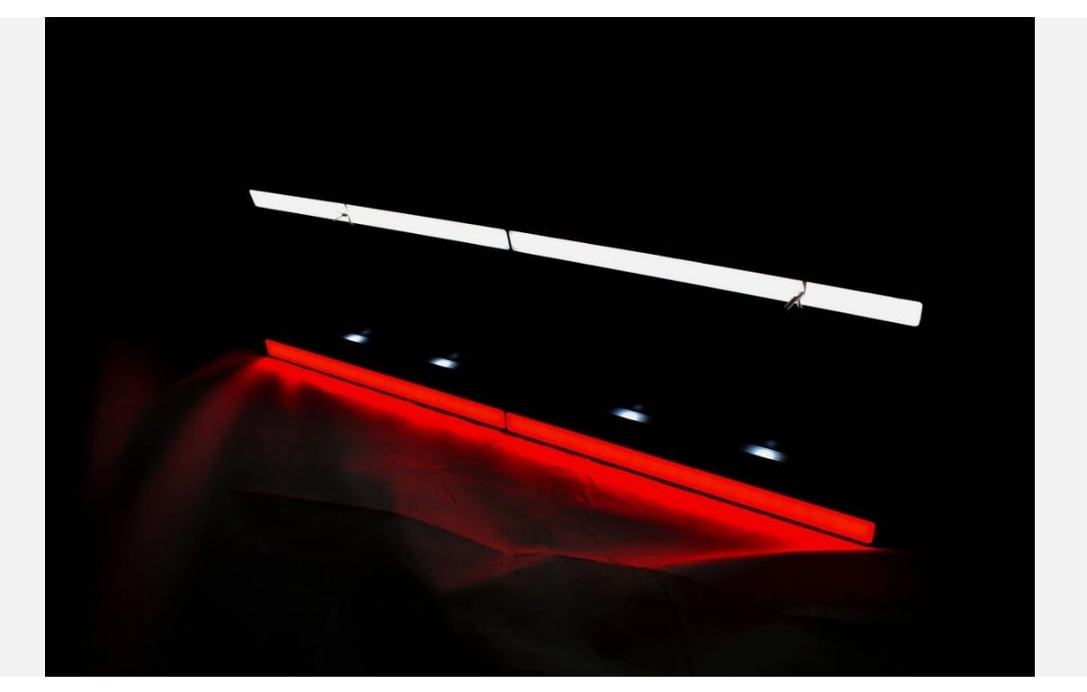 Marco de matrícula + luz trasera LED de marcha atrás, rojo/blanco, 12/24 V, camión, furgoneta, autobús