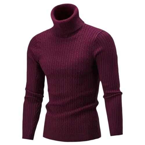 Men's Turtleneck Sweater Knitting Pullovers Rollneck Sweater Warm Slim Fit Casual Sweater3