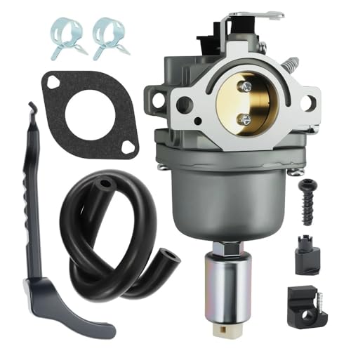 Carburateur 697190 pour moteur de motoculture compatible avec pièces 697141 et 698445