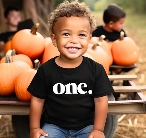 Bold One 1st Birthday Shirt for Baby Girls First Birthday Outfit2