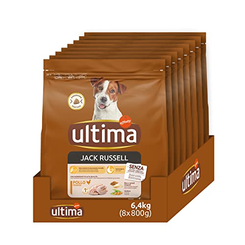 Ultima Taglia Piccola Jack Russell Pollo - Crocchette per cani - Confezione da 8 x 800g - Totale 6,4kg