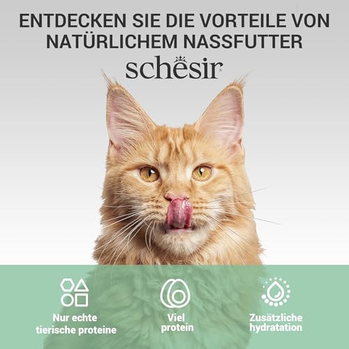 Schesir, Thunfischfilets in Gelee, ergänzendes Nassfutter für Katzen, Originalrezept, 100% natürlich, 12 Beutel à 70 g