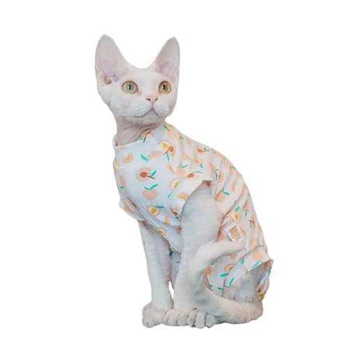 UGYMSIA L̕ADevon RexASphynxAOh[AqLA킢傫ȓ̕̕AȁAX^CAtAāAHAl̕AɗDA_炩AKAA킢 (XL(4.25-6.0kg))