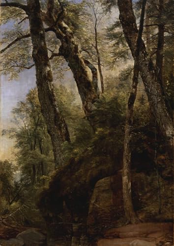 Poster Asher Brown Durand Black Birches Toile Décoration Bureau 60x90cm