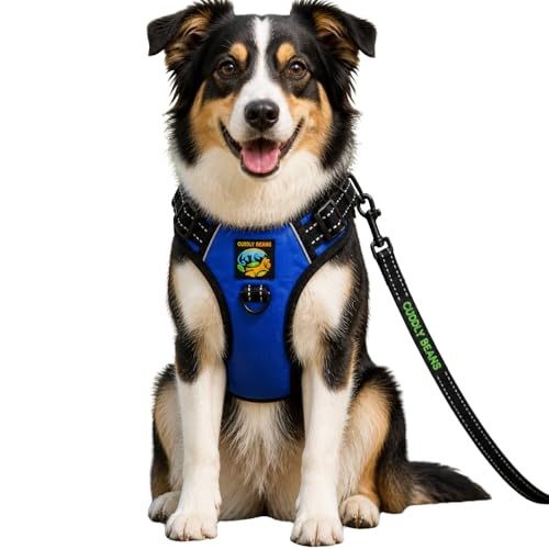 Image of Adjustable Padded Dog Harness with Leash, Blue, M (16-24 kg)