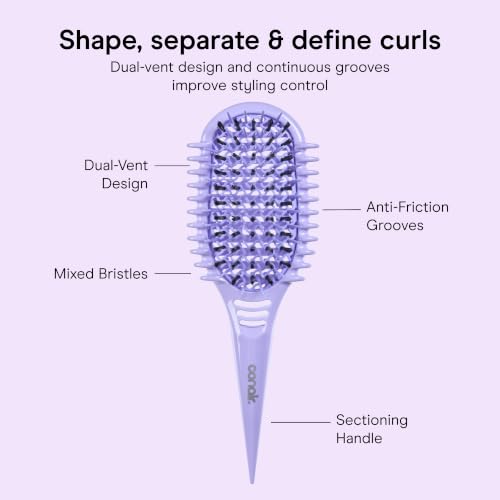 Image of Conair Detangler Curly Hair Brush | Curl Define Pro for Enhancing and Detangling Loose Curls and Long Hair, Purple, BR95707PUR2L