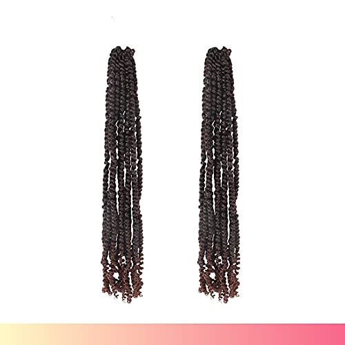 The BOHOBABE Long Pre-twisted Passion Twist Crochet Hair 24 Inch Pre-looped Crochet Passion Twist Braiding Hair 2 Packs (T30)