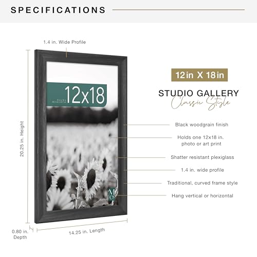MCS Studio Gallery Classic 12x18 Picture Frame Black Woodgrain, Vertical & Horizontal Wall Hanging Large Picture Frame for Photos, Posters & Art Prints (1-Pack)