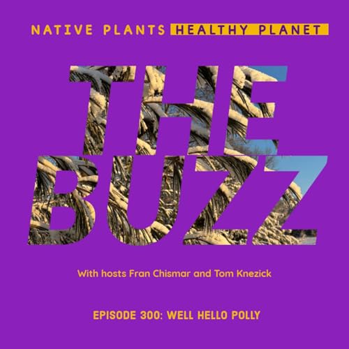 The Buzz - Well Hello Polly