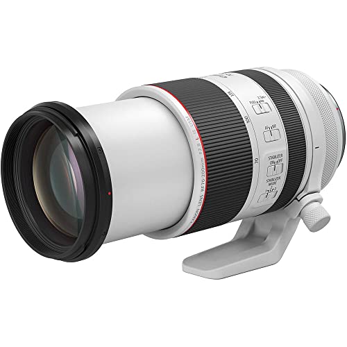 Canon RF 24-70mm lens