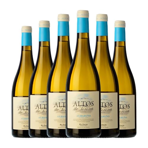 Altos de Torona Albariño Rías Baixas 75 cl Vino blanco (Caja de 6 Botellas de 75 cl)