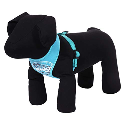 Rukka Pets Mini-Geschirr, Türkis, XS