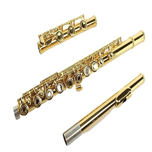 ジュピター フルート 管楽器 CEF-510 ゴールドリッププレート