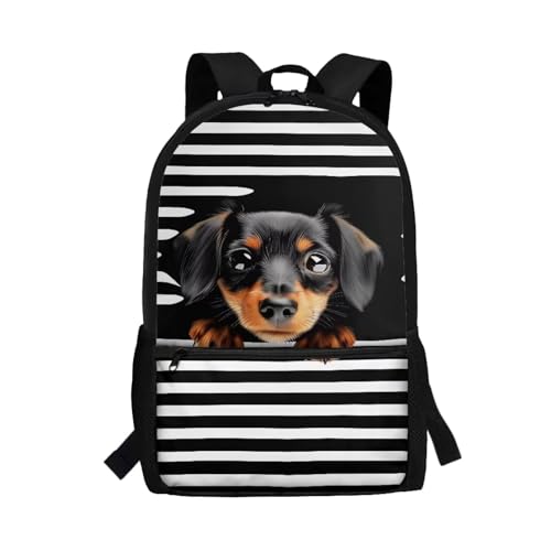 xixirimido Schulrucksack für Kinder, 43,2 cm, Büchertasche, Schultertasche, Rucksack, Dackel Hund, Einheitsgröße