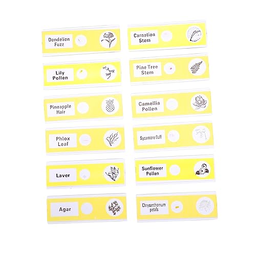BETOOKY 12pcs Glass Slide Microscope Slide kit Slides for Kids ABS Sample Specimens Botany Child Plant