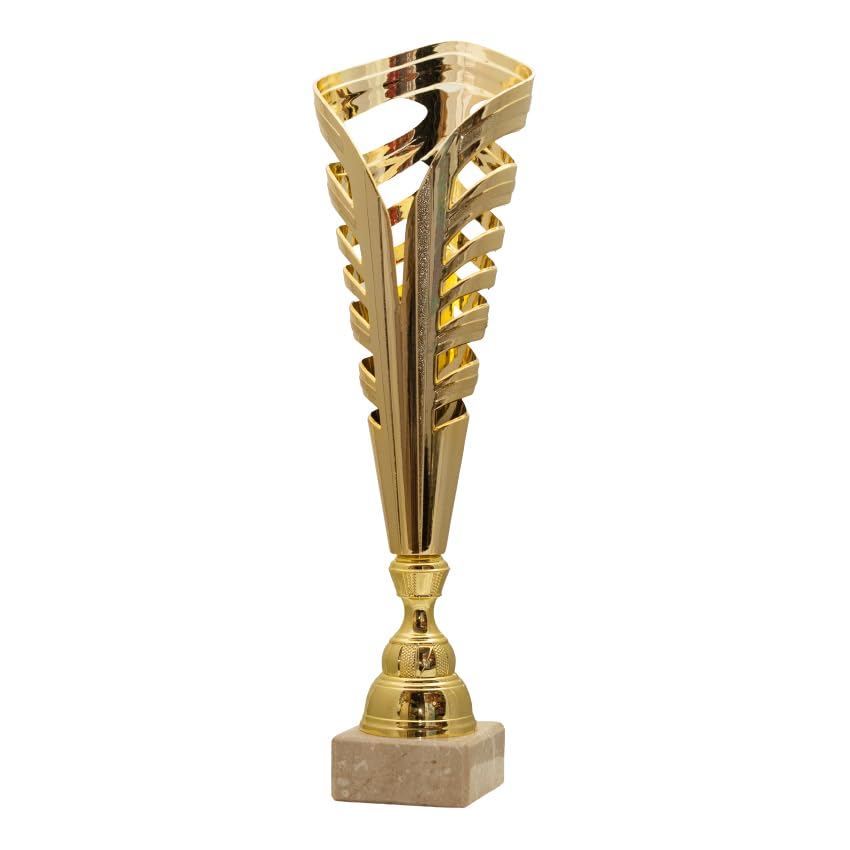 ✅ UTILIZZO - Disponibile in tre misure. Adatta a tutti i tipi di premiazioni. Ottima anche come regalo. Disponibile in tre misure.