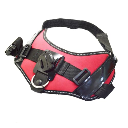 Arnés para perro con rotación de cámara para grabar excursiones de senderismo y paseos