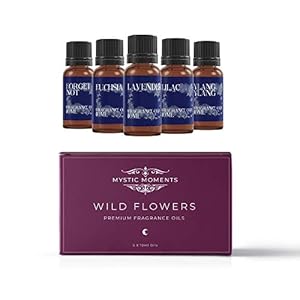 Mystic Moments SPFOWFLO10,Orno Opera DC Draadloze bel voor buiten, waterdicht met volumeregelaar en bereik 100 m, 36…