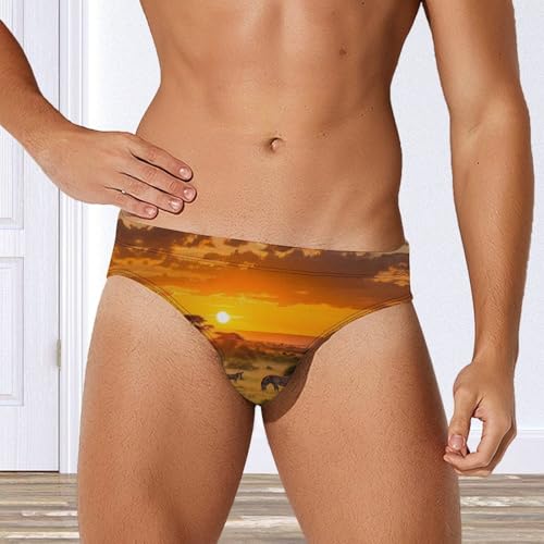 African Animals Wildlife Sunset Men's Swim Trunks Briefs Swimsuit Swimwear Bathing for Underwear Beach3