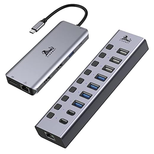 13 in 1 USB C Docking Station Dual Monitor and Universal Powered USB 3.0/USB C Hub,10-Port USB Splitter