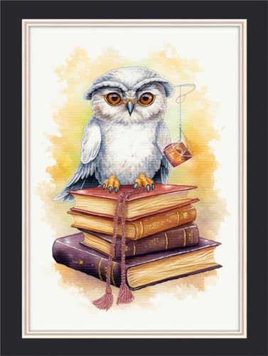 Broderie aquarelle hibou pour adulte COKYIS toile imprimée art mural salon