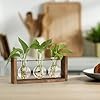YIBOT Wall Hanging Planter Propagation Station Glass Flower Vase for Hydroponics Plants, Plant Terrarium with Wooden Stand, Bathroom, Home Office Living Room Decor Gift #3