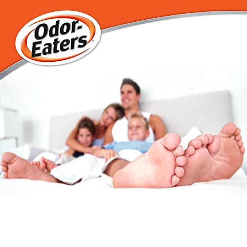 Odor-Eaters Foot Powder, 6 Oz, Pack Of 4 – Foot Odor Eliminator For Shoes & Feet, Foot Powder Odor Control, Easy Grip Bottle, Foot & Shoe Powder, Talc Free #TOP3