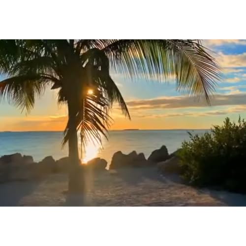 Introducing Ar-Rawdah Academy Podcast: Welcome to Ar-Rawdah Academy - Seekers of Knowledge cover art