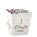 World Awaits - Travel Themed Candy Boxes Party Favors (Set of 12)