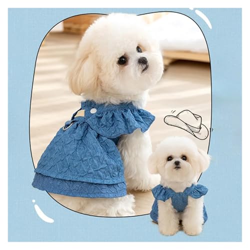 Robe en jean pour chien chihuahua et chat vêtement d'été bleu clair