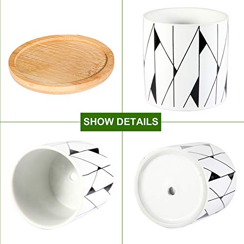 Geometric Pattern Pots