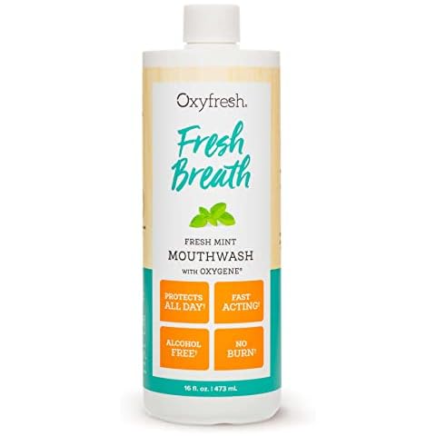 Oxyfresh Fresh Breath Fresh Mint Mouthwash – Dentist Recommended for Long-Lasting Fresh Breath & Healthy Gums | Alcohol & Fluoride Free (1-16 oz Bottle) Cover