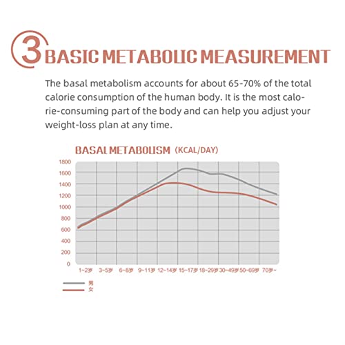 Hand-gehouden 6seconds lichaamsvet meetinstrument meetinstrument BMI Meter Gezondheidsvet Analyzer Monitor vet Meet - Image 6