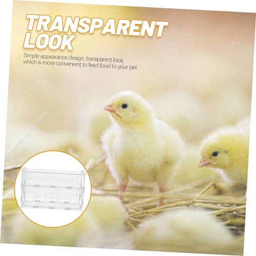 Mangeoire transparente poulets Rutine pour eau propre et nourriture sèche