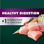 Iams Advanced Health Adult Healthy Digestion Dry Dog Food with Real Chicken, 13.5 lb. Bag - Image 4