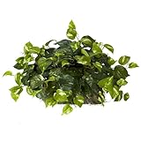 Nearly Natural 6708 15in. Pothos Ledge Plant (Set on Foam) Silk Plant