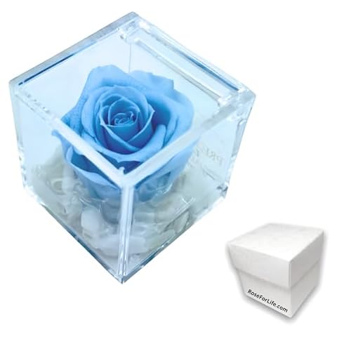 Cube de Rose Stabilisée PremiumRose 6cm Cover