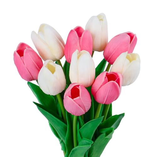 VaryFloral  CeA tFCNt[ t[AWg `[bv 10{ sNzCg t[  u[P A[eBtBVt[ A[gt[ ͂Ȃ v[g 蕨  ސEj ̓ B