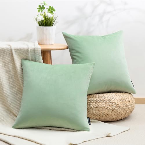 Image of Phantoscope Pack of 2 Velvet Decorative Throw Decorative Pillow Cover Soft Solid Square Cushion Case for Couch Sage Green 20 x 20 inches 50 x 50 cm