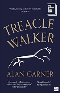 Treacle Walker: Alan Garner
