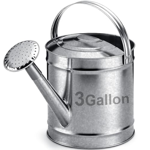 Geetery 3 Gallon Galvanized Steel Watering Can Large Metal Watering Can with Removable Spout Rust-Resistant Vintage Farmhouse Style for Outdoor Indoor Garden Patio Flowers and Plants