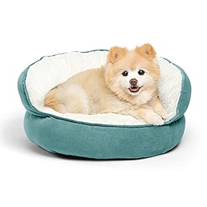 Best Friends by Sheri Throne High Bolster Orthopedic Relief Cat and Dog Bed in Mini Tide Pool