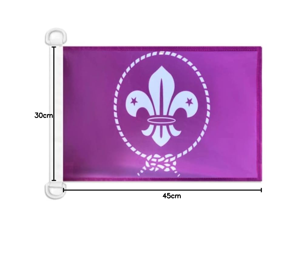 Drapeau Inde 90x60 Cm | Drapeau Indien Usage Extérieur Anneaux Plastiques